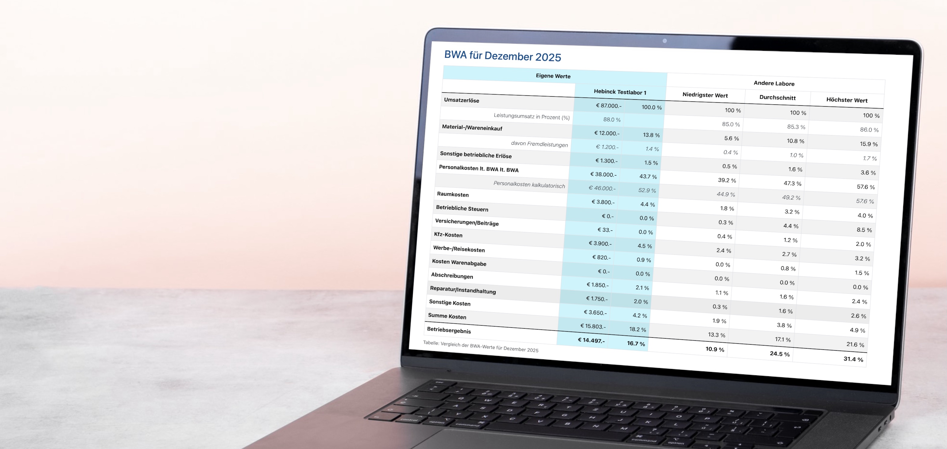 Laptop mit BWA-Analyse im Dentallabor